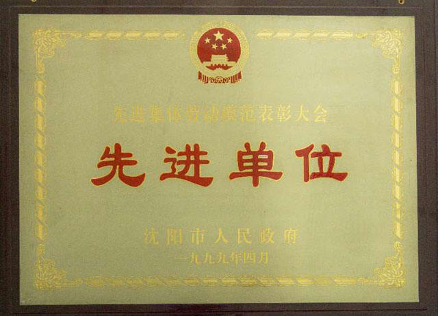 沈陽市先進(jìn)單位